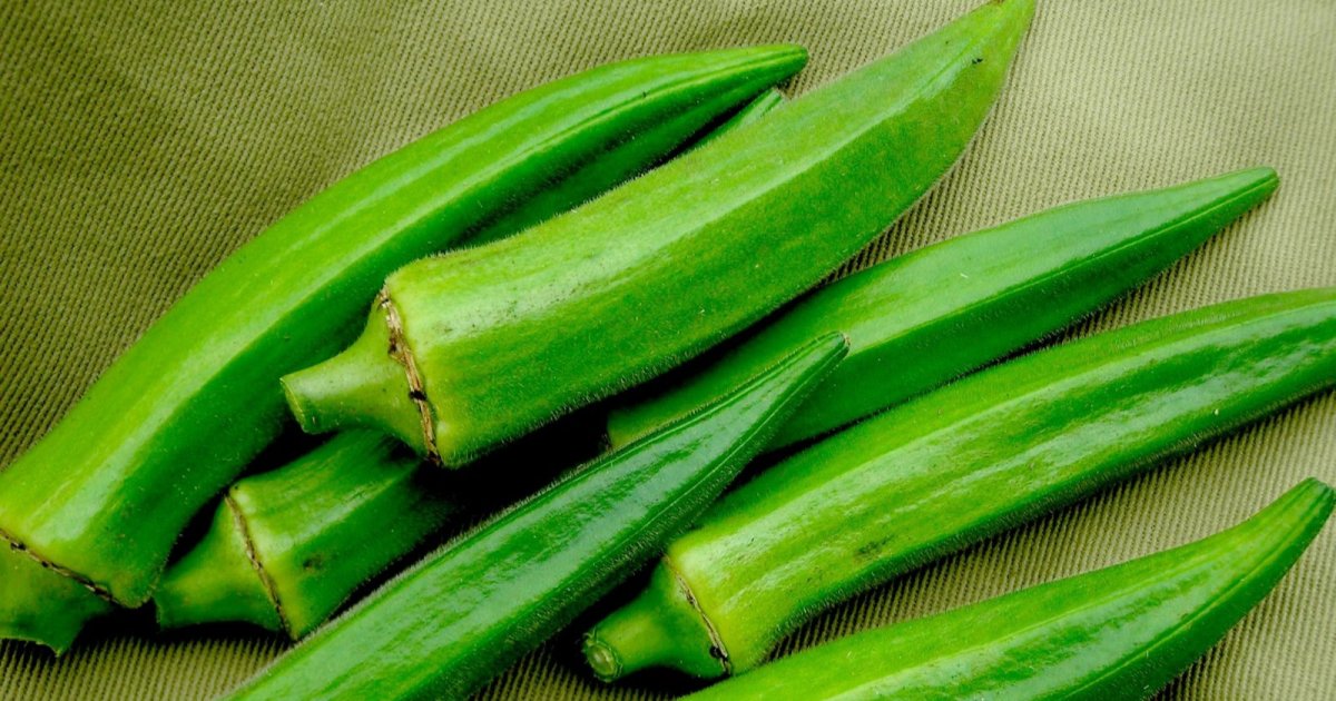 د لېړو روغتيايي ګټې