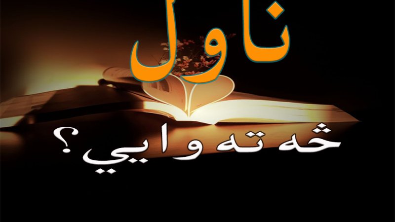 ناول څه ته وایي؟