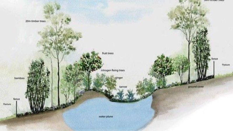 سالنګ سیند څخه کابل د اوبو د لېږد پروژه