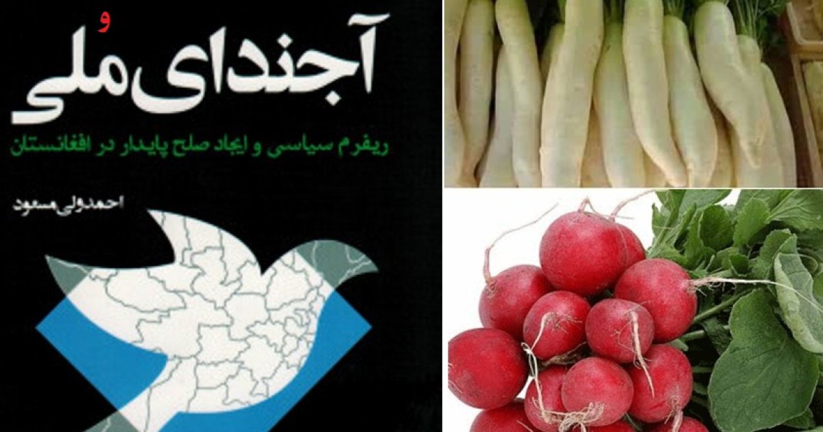 آجندای مُلی