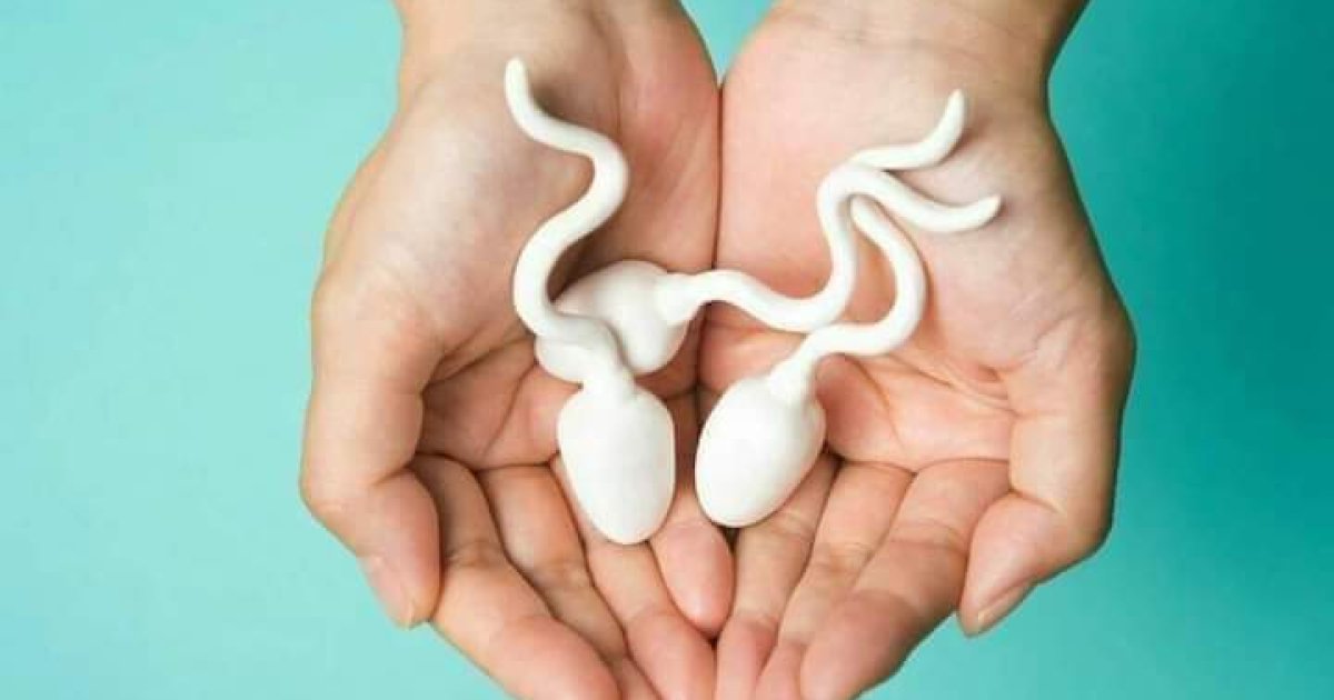 مني یا سپرم په اړه جالب معلومات