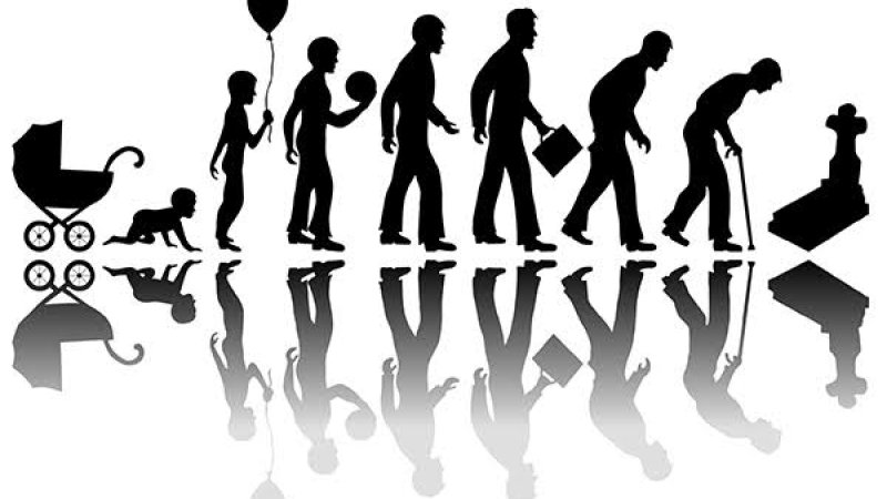 د ژوند او انسان په اړه د لیکوالو مفکورې