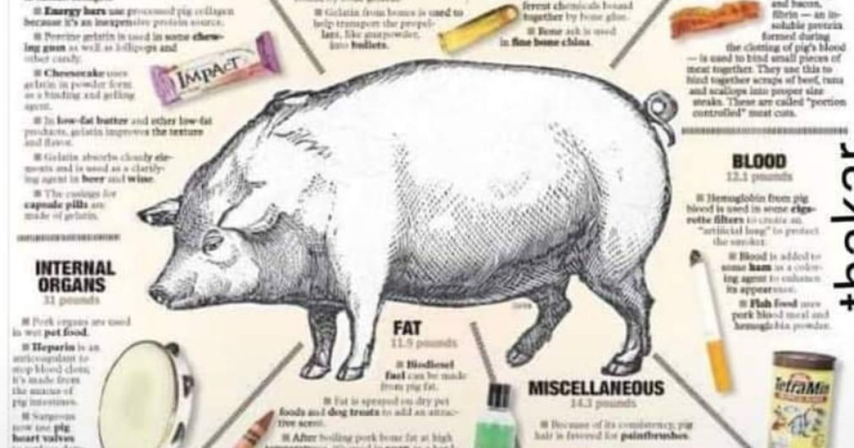 د خنزیر حلاله غوښه په اړه