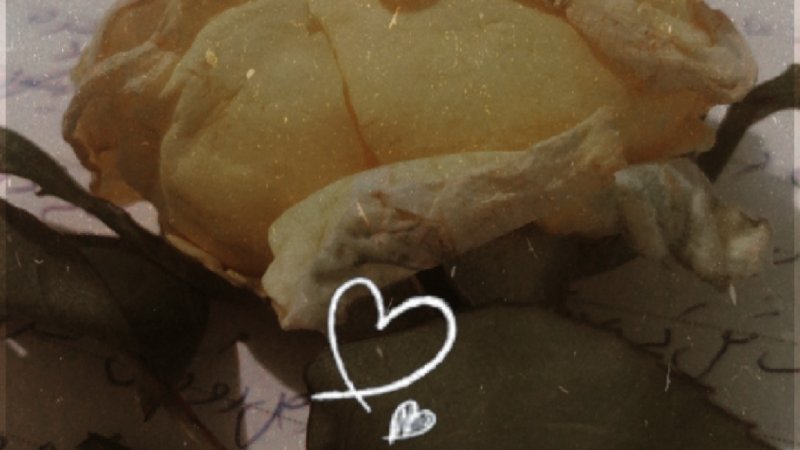 زما په پوهه کی د ناپوهۍ فلسفه