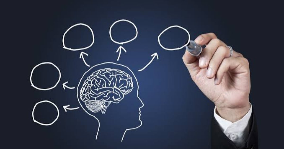 کوم خواړه مو حافظه پياوړې کوي؟