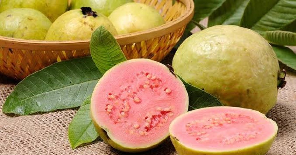 امرود کومې روغتيايي ګټې لري!؟