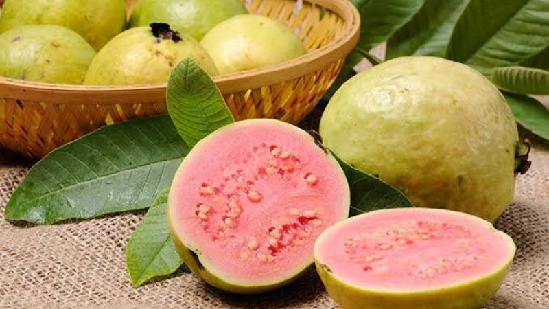 امرود کومې روغتيايي ګټې لري!؟