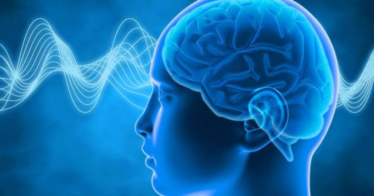 د حافظې د پیاوړتیا څو لارې