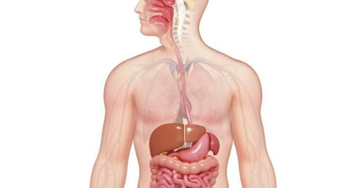 په دې کړنو سره خپل هاضمي سيستم سالم وساتئ!