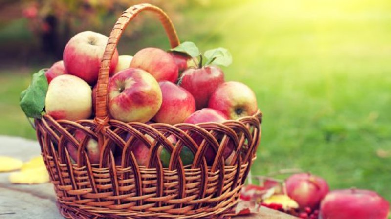 د مڼو ۱۳ حیرانونکې روغتیایي ګټې