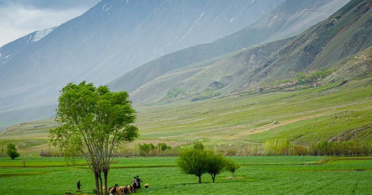 د هڅوونکي سهار پیل