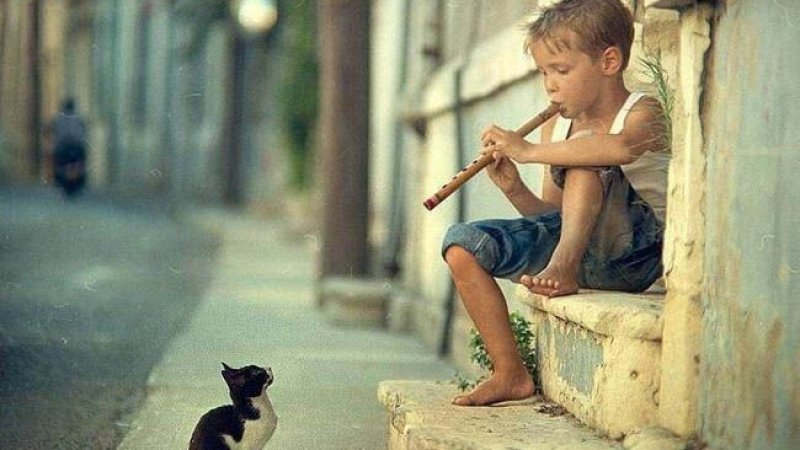 د ژوند له پېښو عبرت اخېستنه