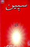 سپین (ناول) cover image