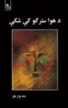 د هوا سترګو کې شګې cover image