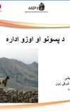 دپسونو او وزو اداره cover image