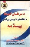 د سرطان کودتا د افغانستان داوږدې بې ثباتۍ پيلامه cover image