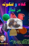 کلاه و لنکوته در نماز cover image