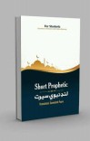Short Prophetic Life(لنډ نبوي سېرت) cover image