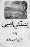 پښتنې قبیلې cover image