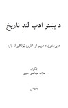 د پښتو ادب لنډ تاریخ cover image
