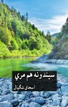 سیندونه هم مري cover image