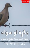 جګړه او سوله (لومړی ټوک) cover image