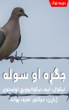 جګړه او سوله (دویم ټوک) cover image