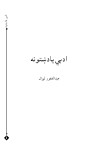 ادبي یادښتونه cover image