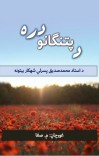 د پتنګانو دره cover image