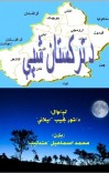 د ترکستان شپې cover image